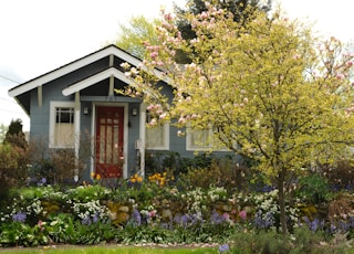 white and brown house surrounded by green trees and plants