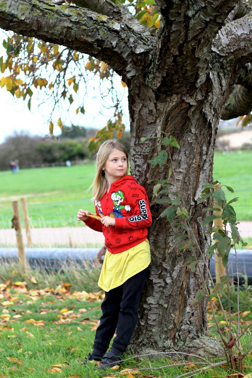 Muchacha en suéter rojo de pie al lado del árbol durante el día