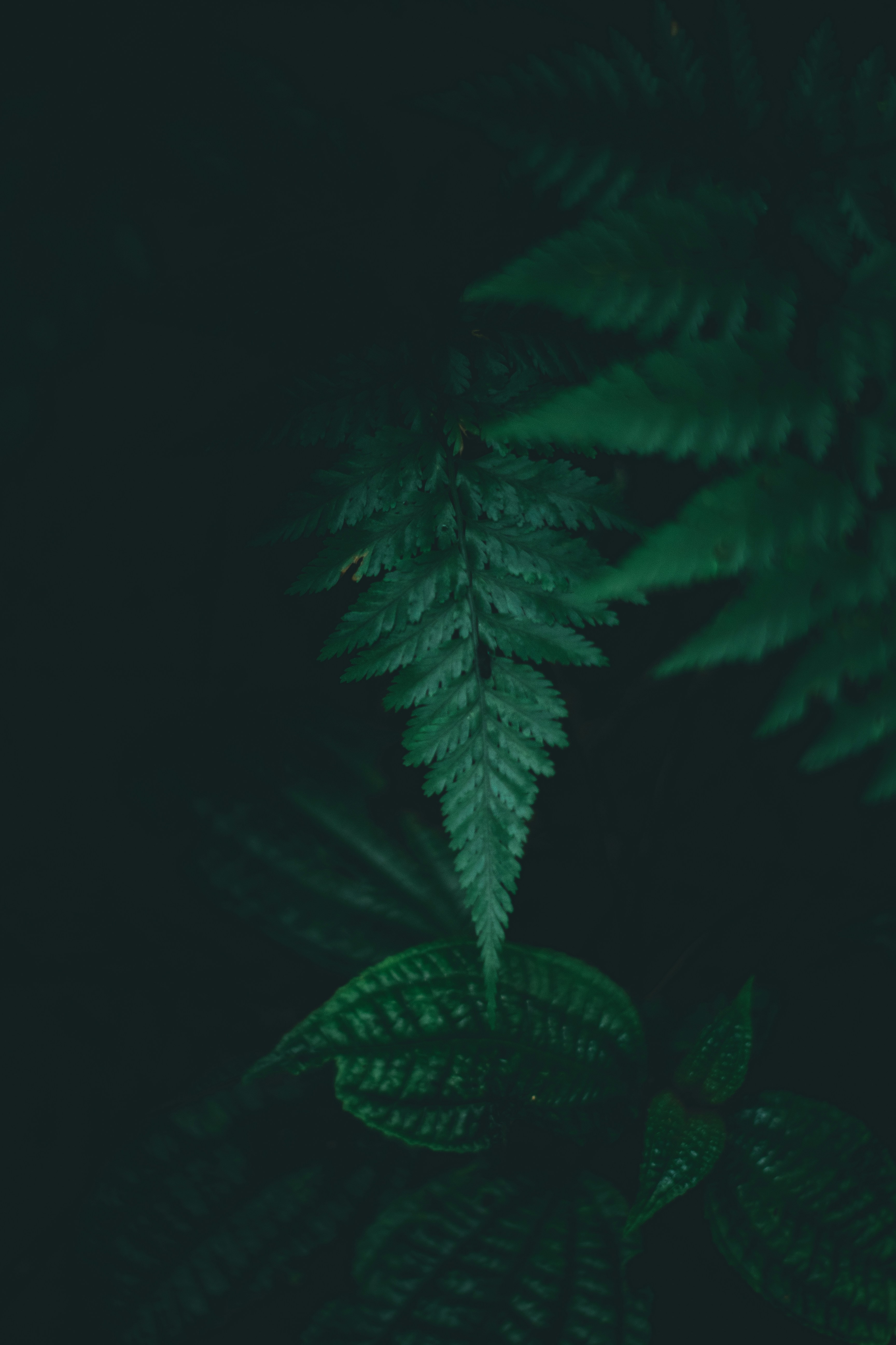 Photo by muhammadriz__