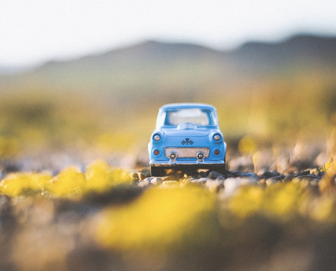 blue car on yellow flower field during daytime