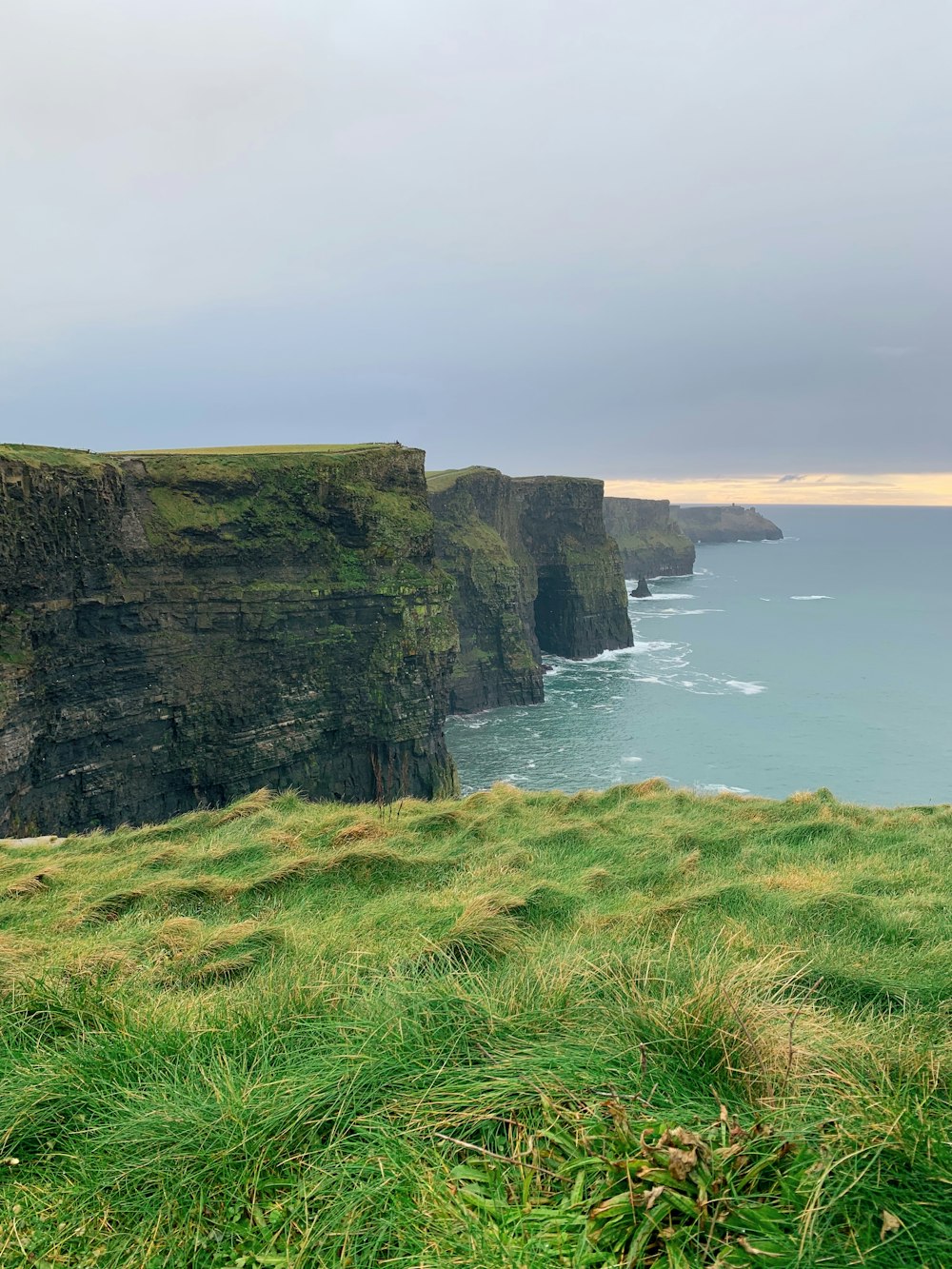 falaise couverte d’herbe verte au bord de la mer pendant la journée