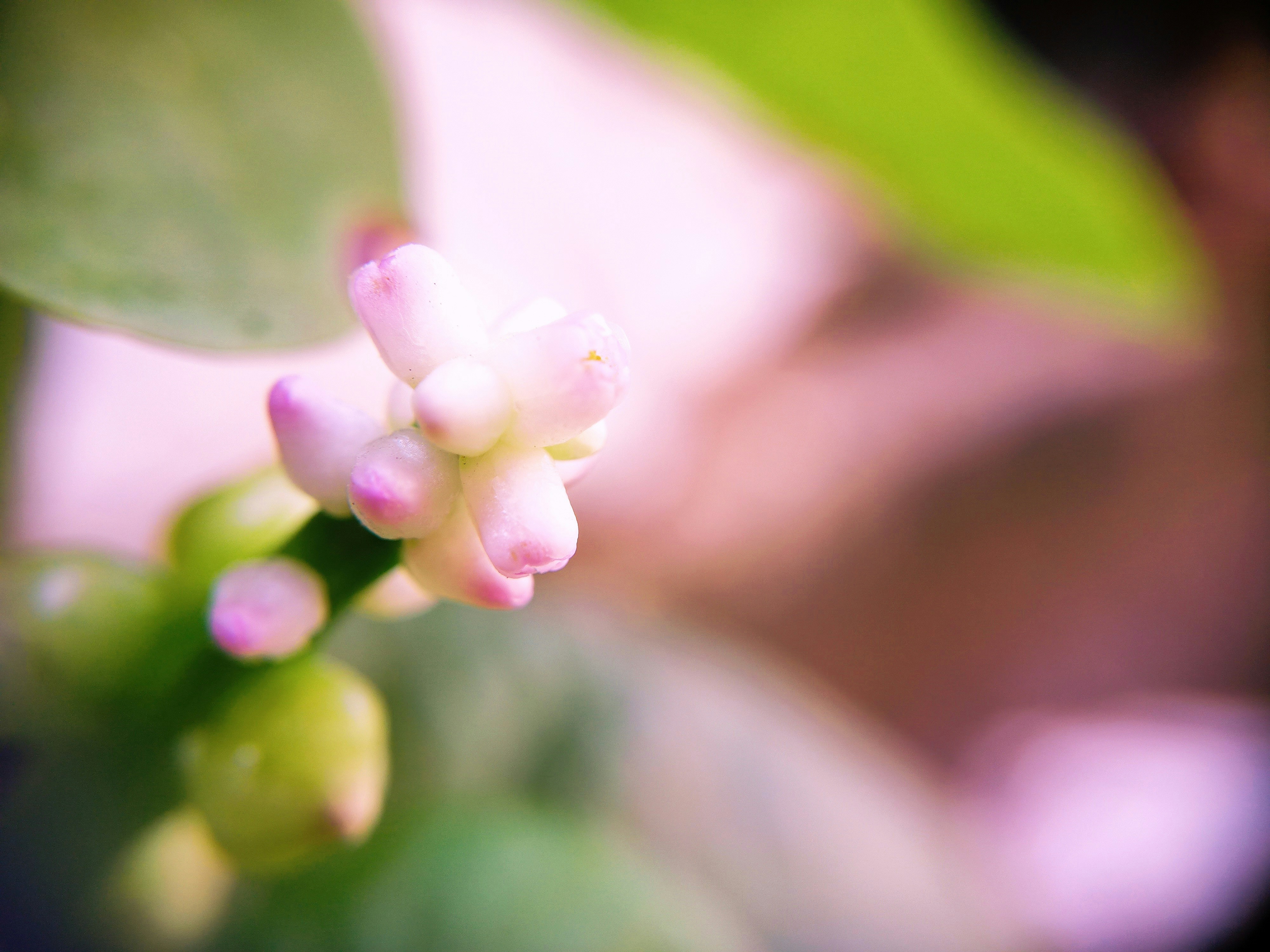 Photo by nick9692