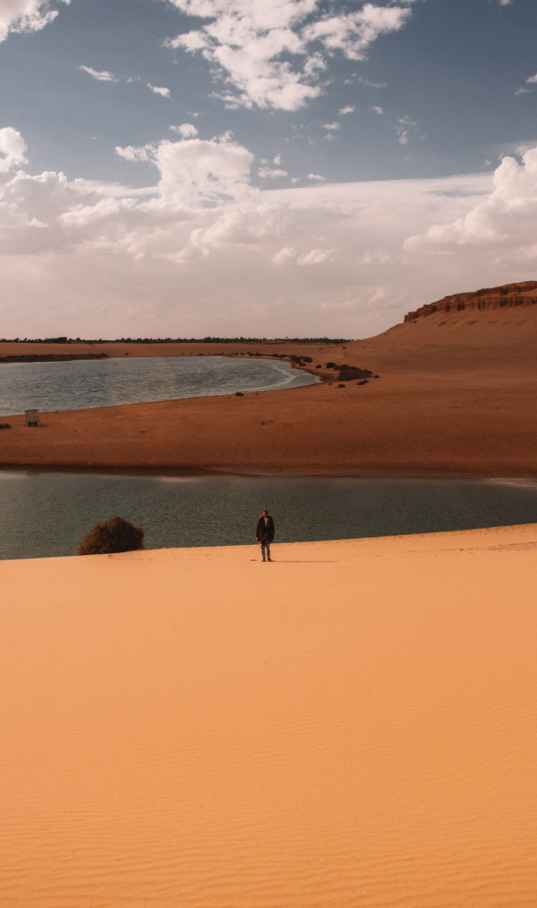 2 person walking on brown sand near body of water during daytime