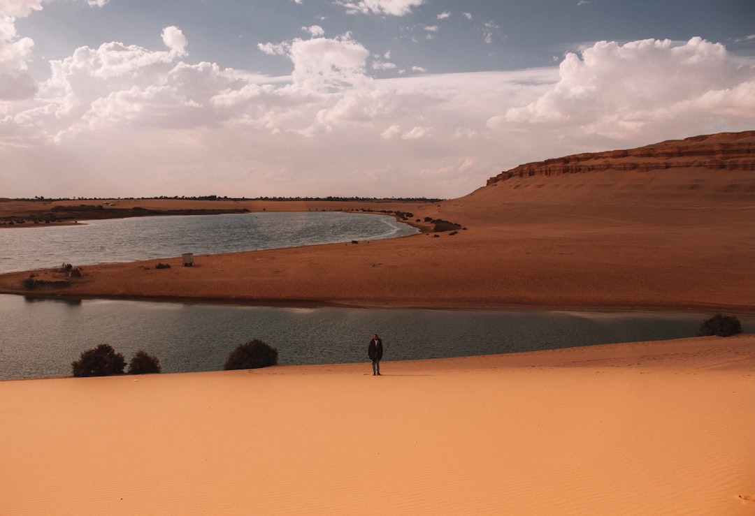 2 person walking on brown sand during daytime