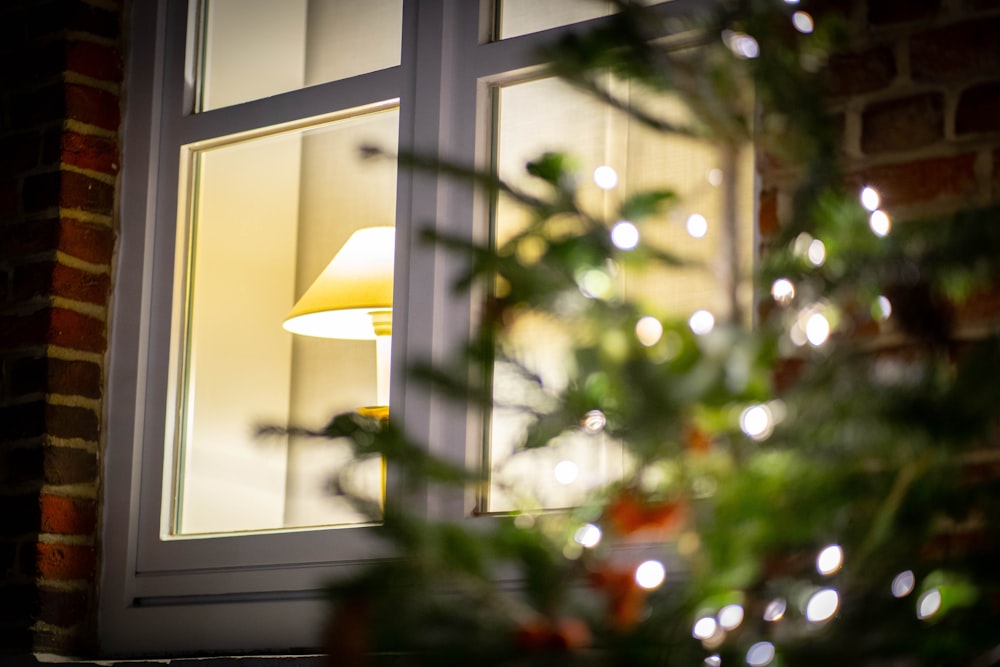 white pendant lamp turned on near green plant