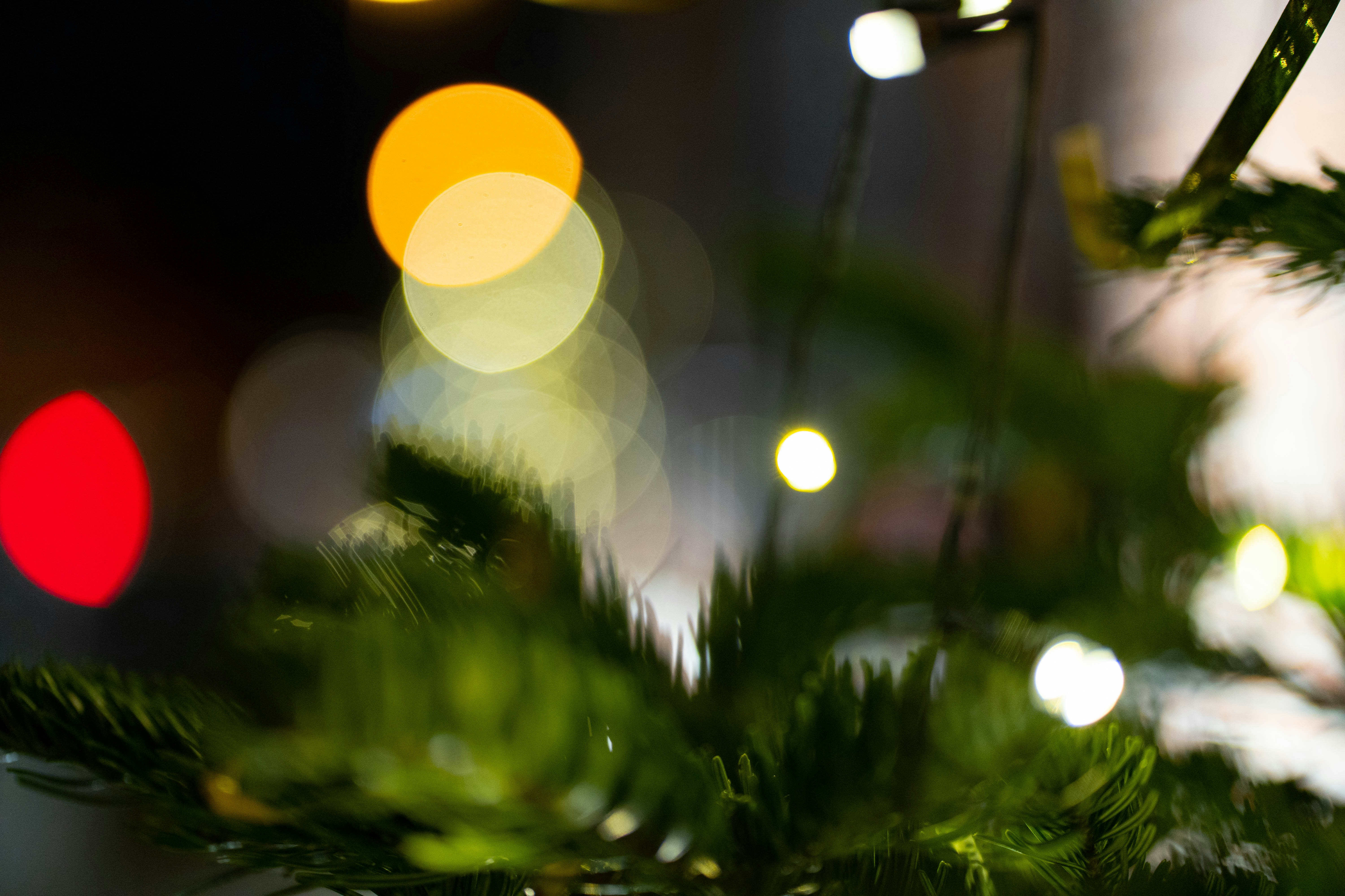 Photo by michelstock