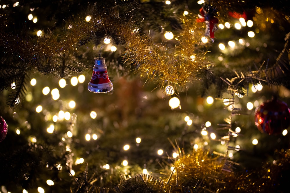 green christmas tree with yellow string lights