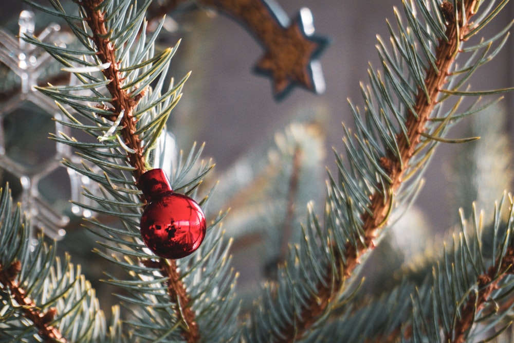 red and black star ornament