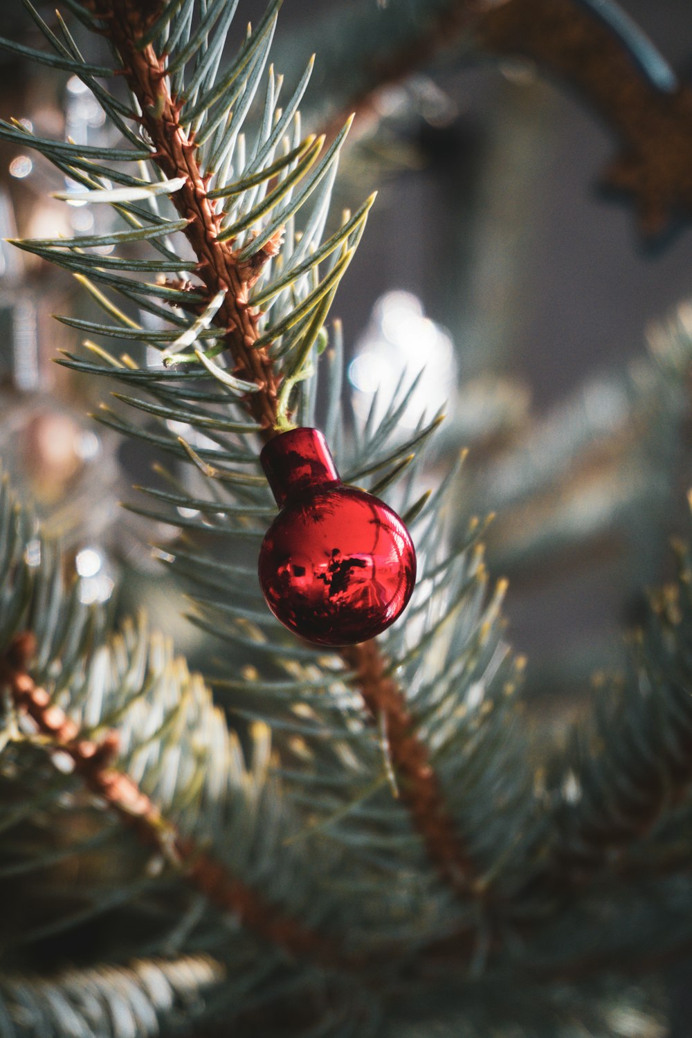 red bauble on green tree