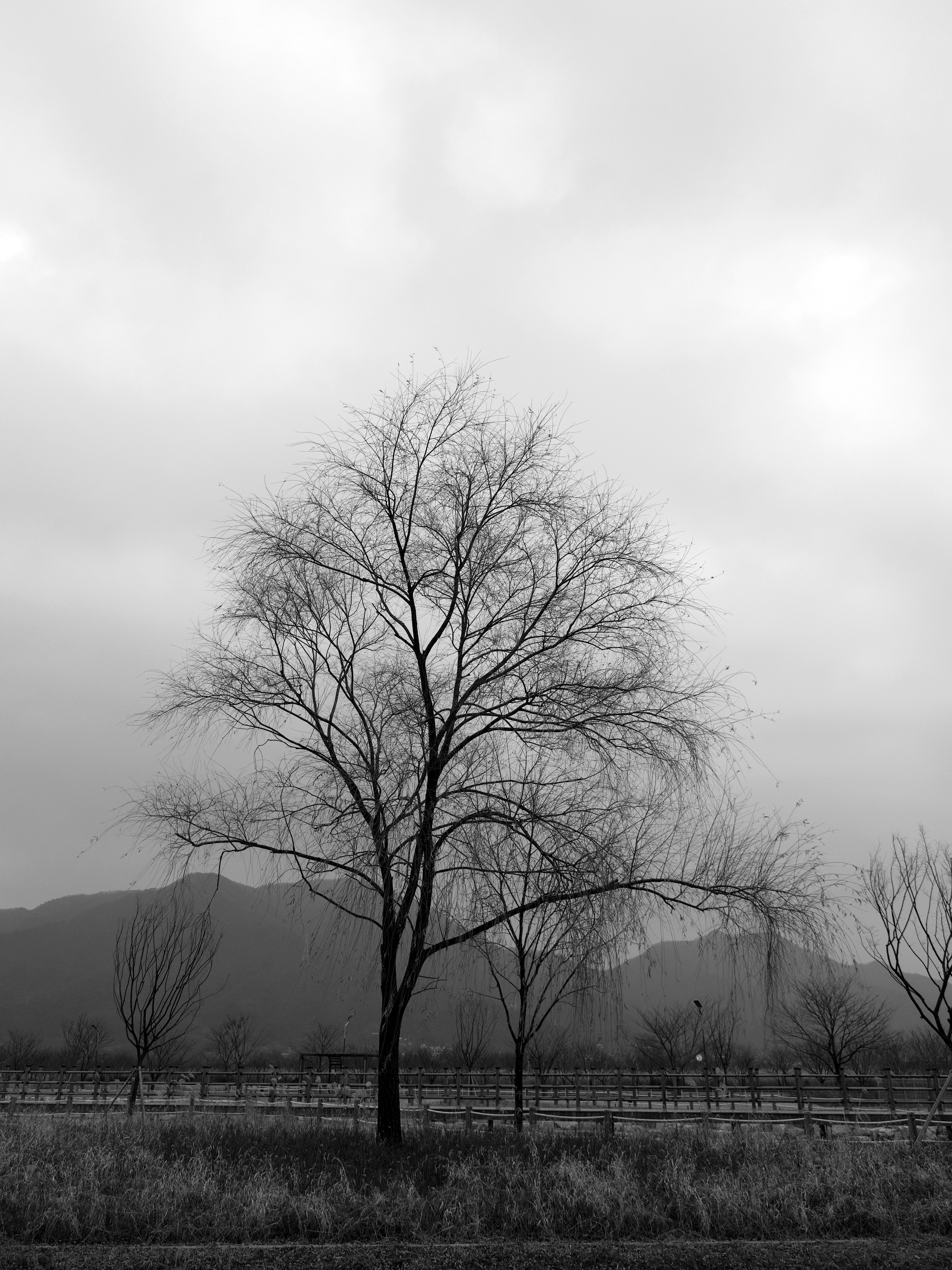 Photo by beyond_the_dream