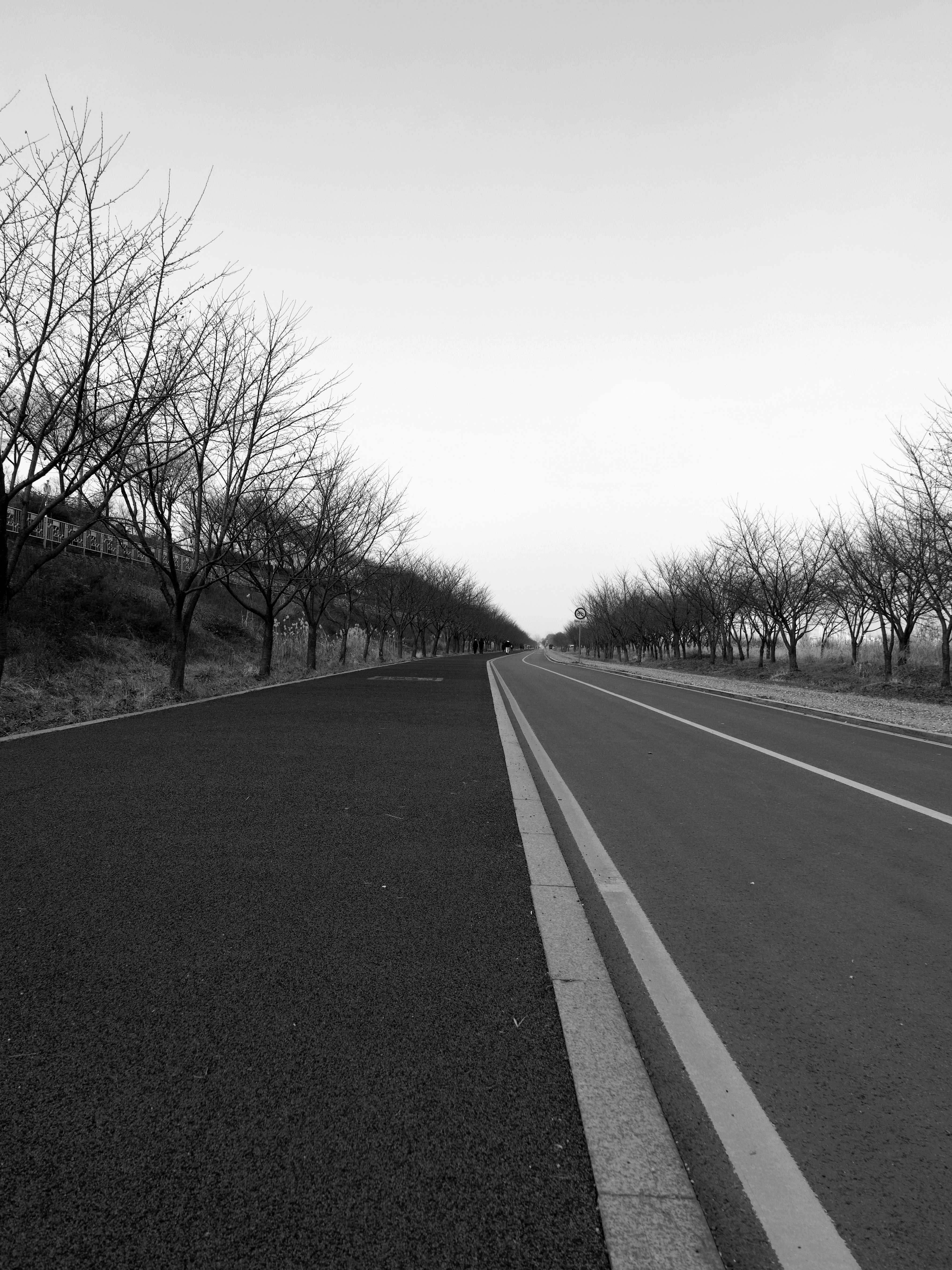 Photo by beyond_the_dream