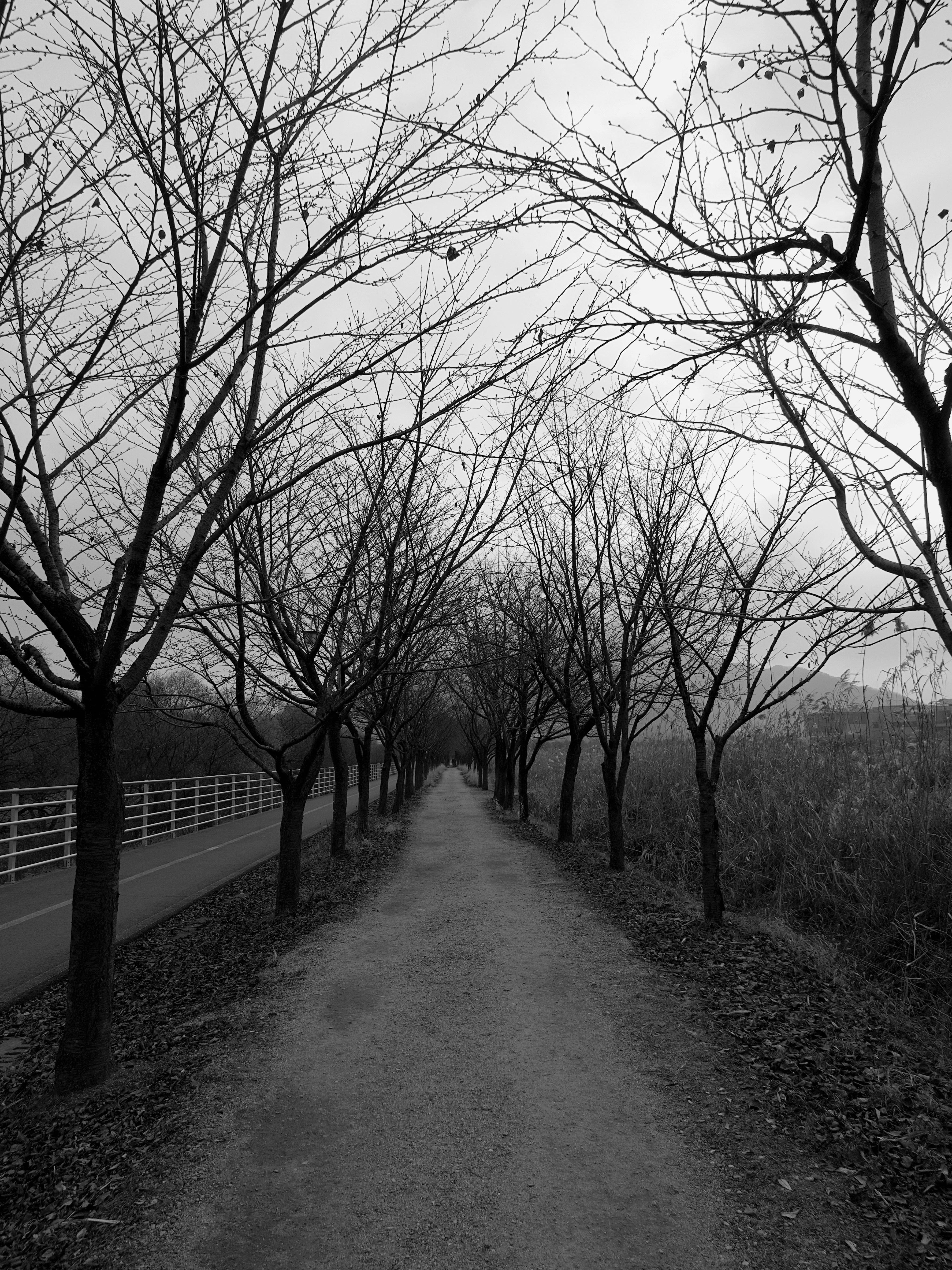 Photo by beyond_the_dream