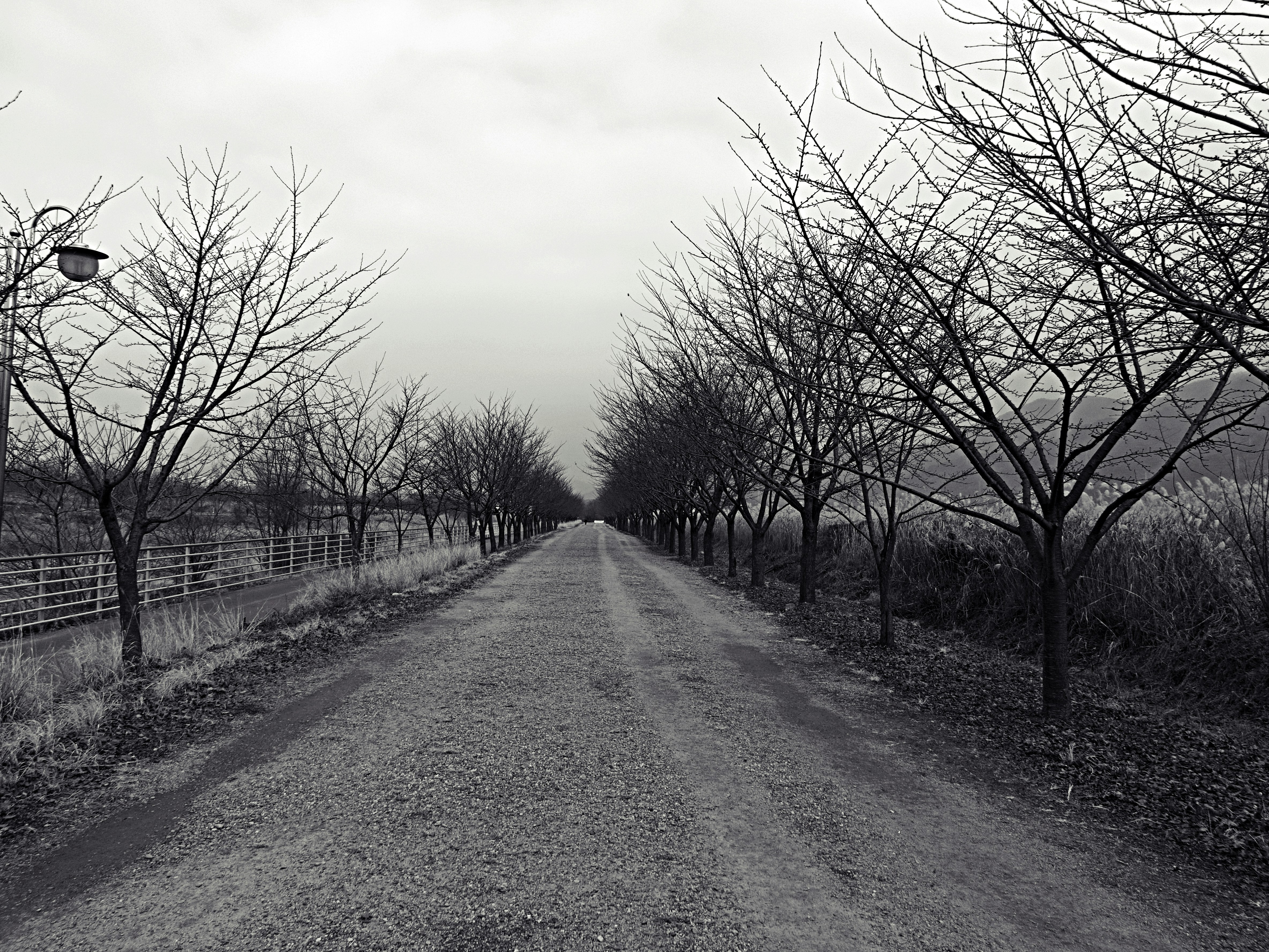 Photo by beyond_the_dream