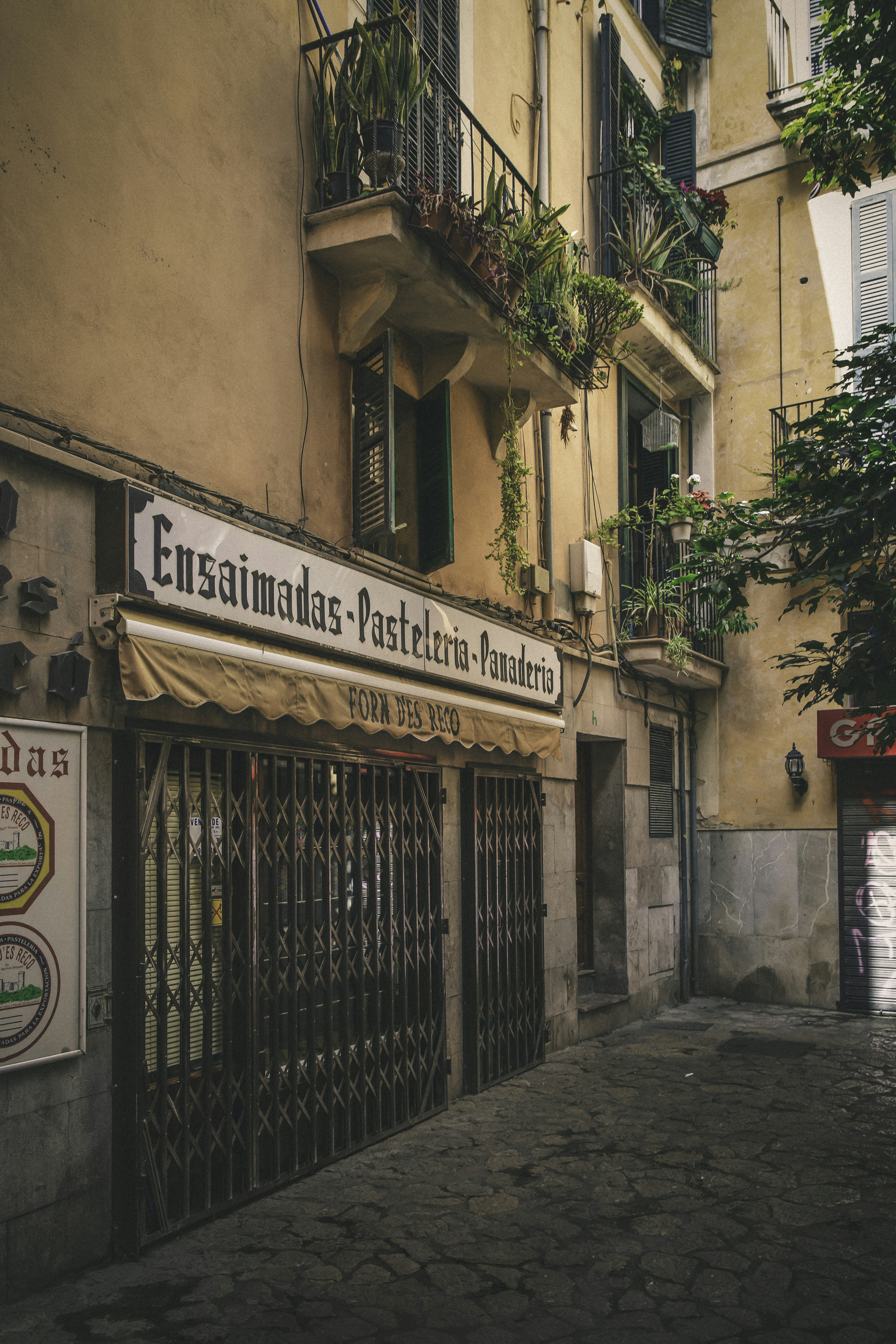 Visitar Palma de Mallorca