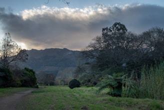 A serene landscape with a winding path leading through lush greenery.
