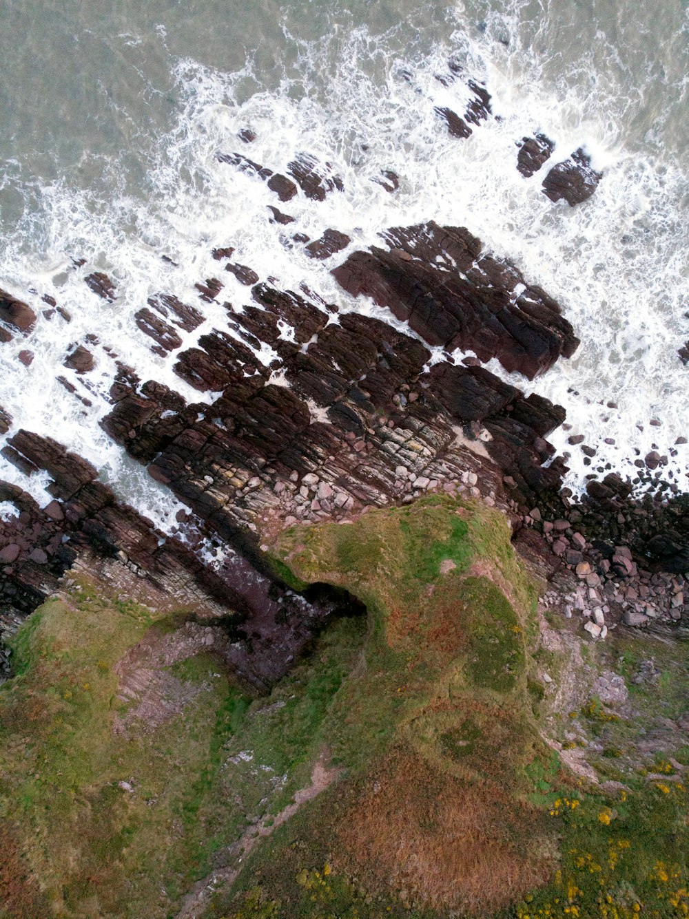 green moss on brown rock formation