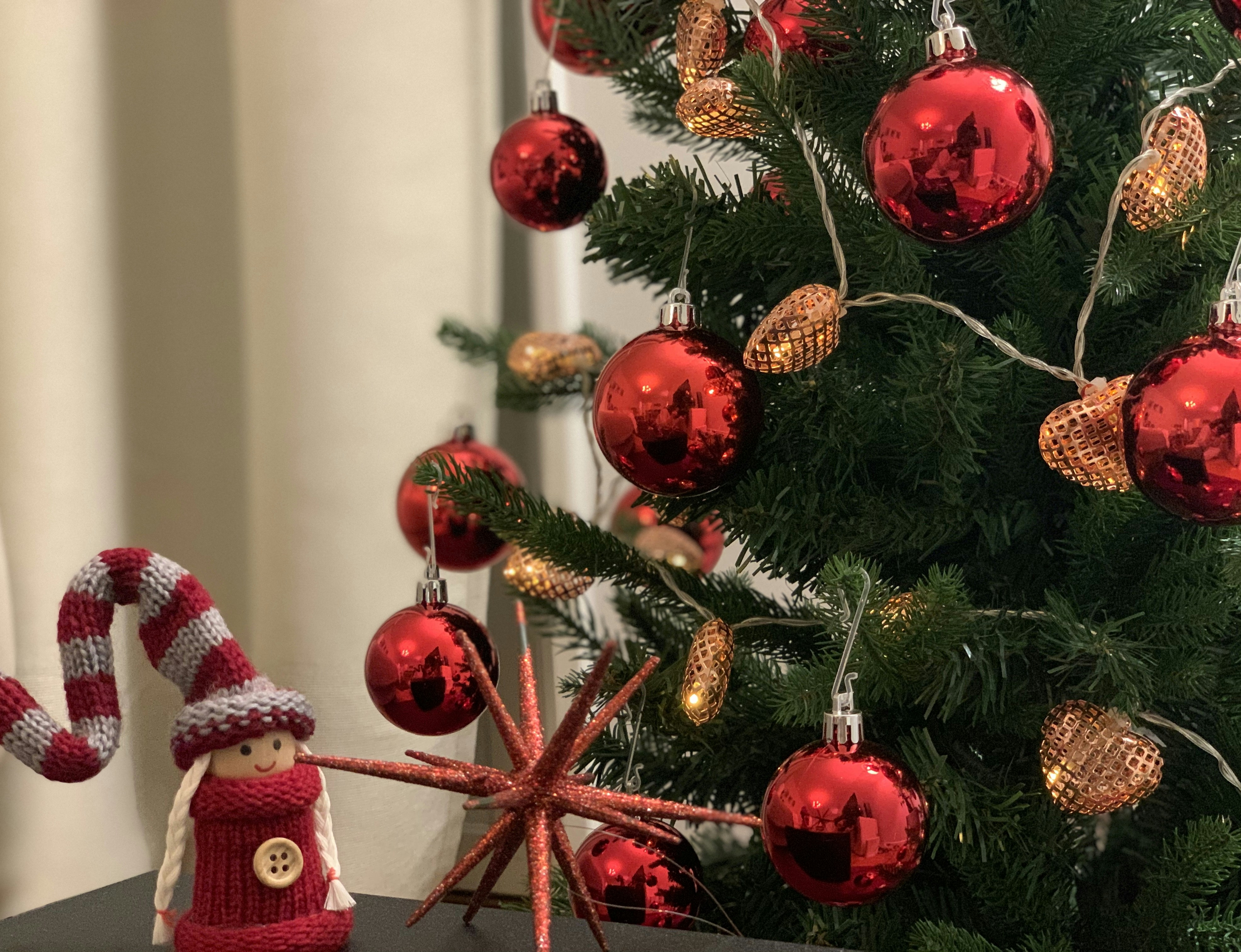 Photo by mahshidhelali