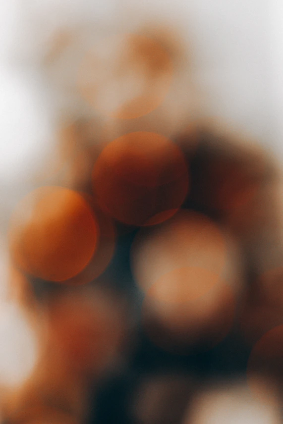 brown egg on white surface