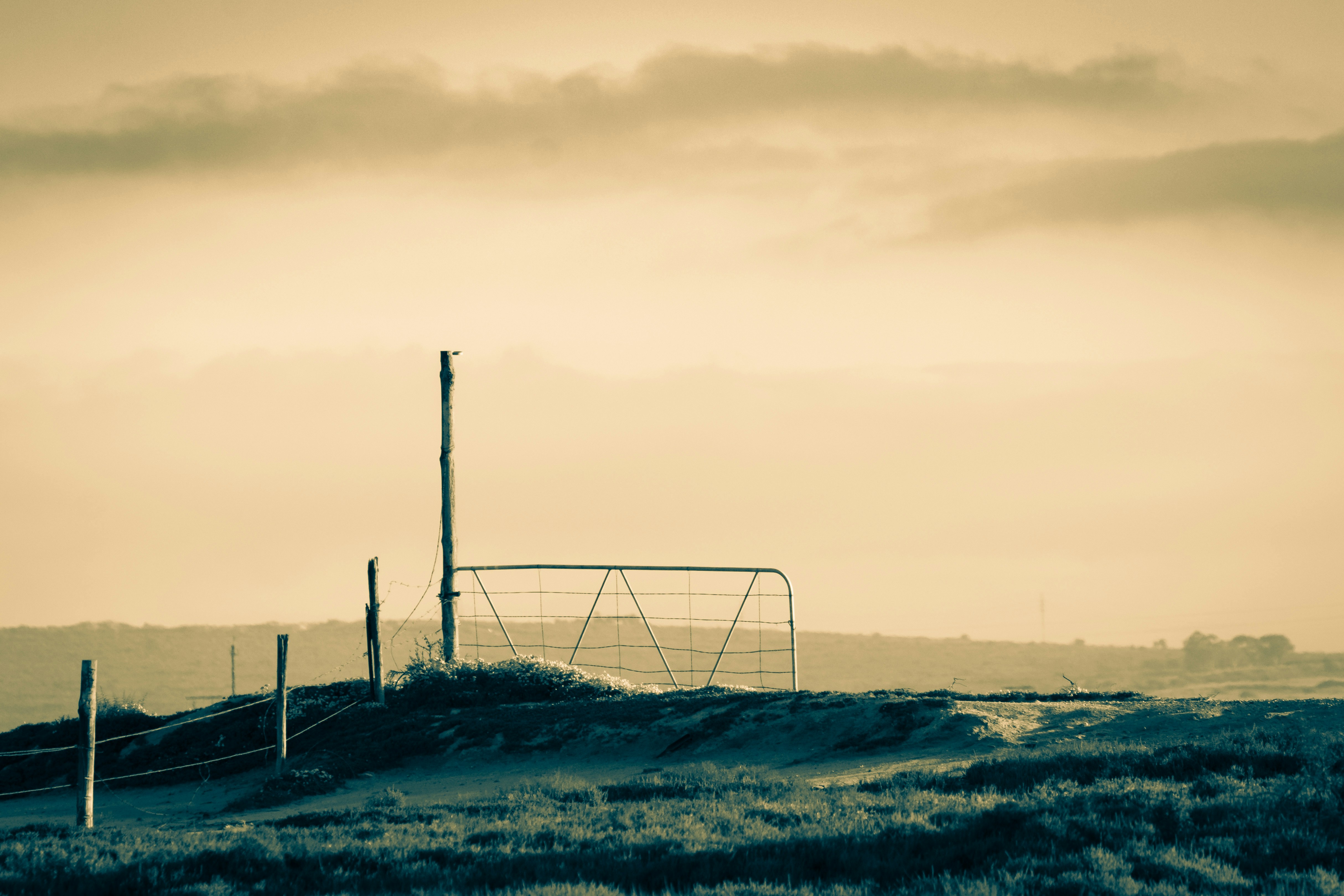 a field with a fence and a gate in the distance