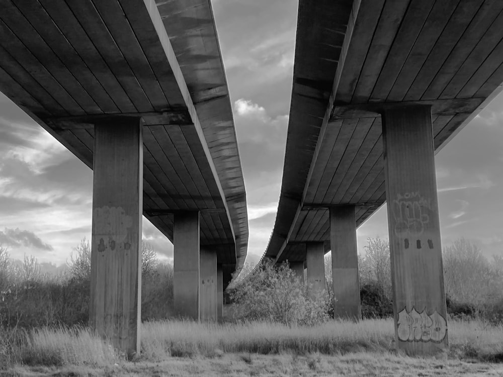 grayscale photo of bridge over grass field