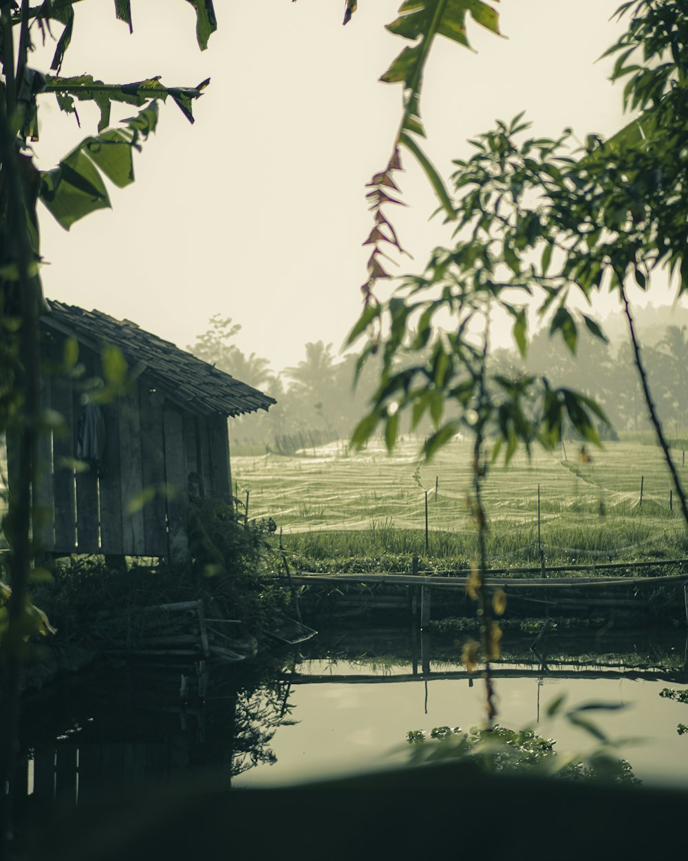 Casa de madera marrón cerca de la hierba verde y el lago durante el día