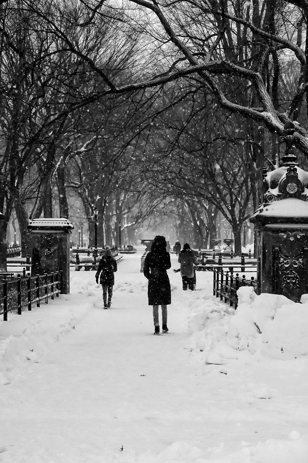 person in black coat standing on snow covered ground near bare trees during daytime