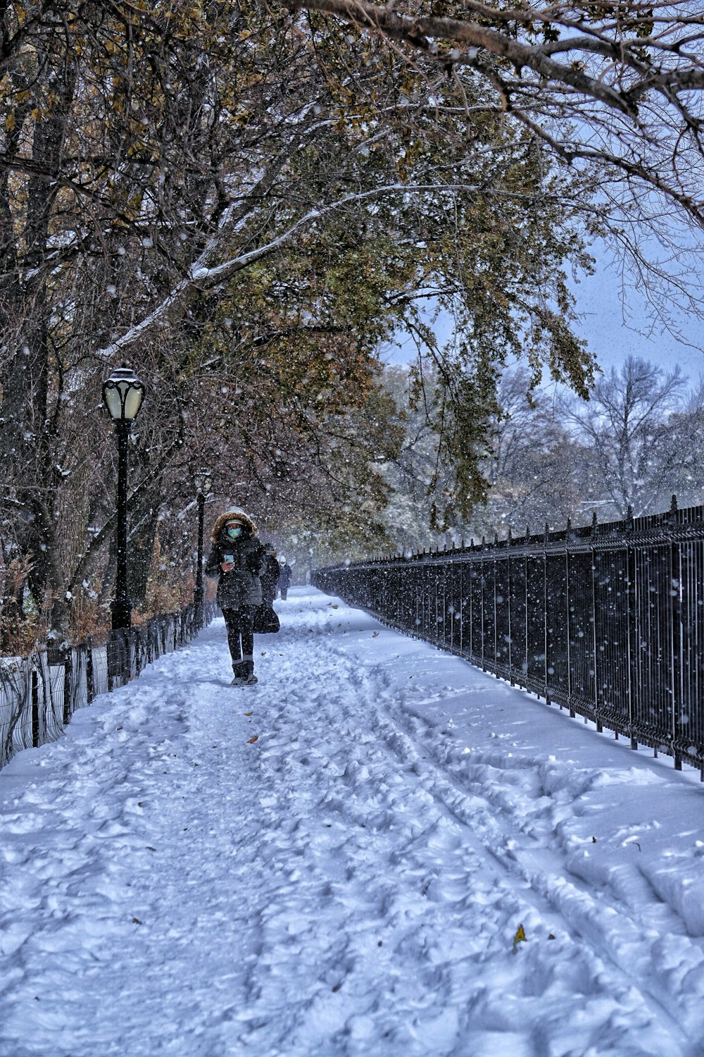 雪に覆われた小道を歩く黒いジャケットを着た人