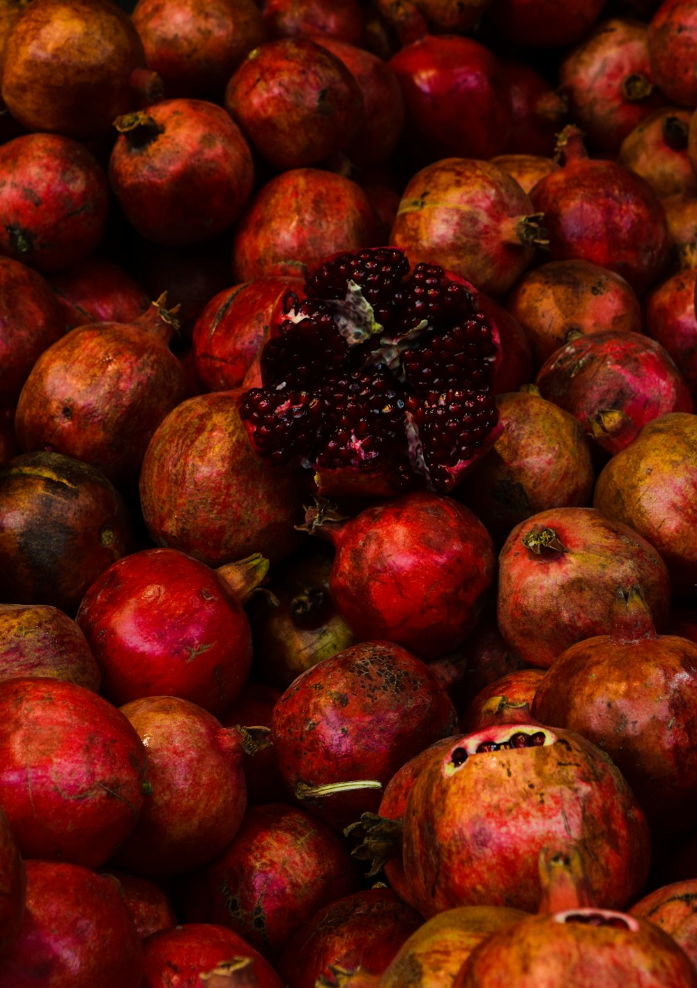 red round fruit lot during daytime