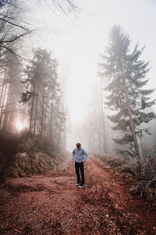 woman in white jacket and black pants standing on brown dirt road between green trees during in Gmunden Austria