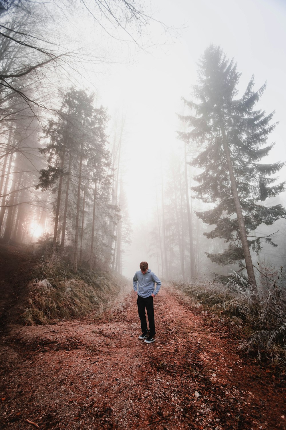 woman in white jacket and black pants standing on brown dirt road between green trees during