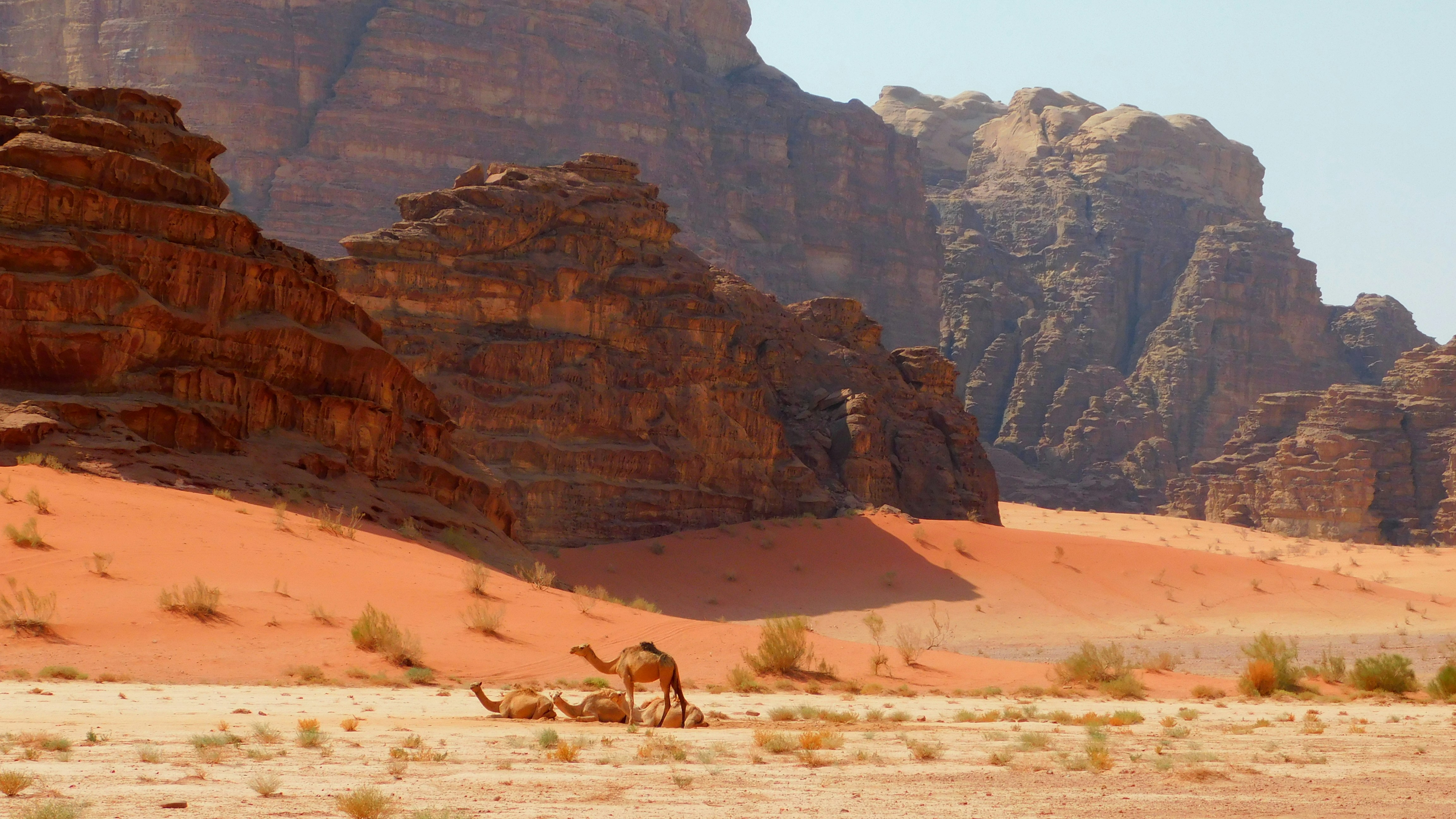 Photo by annacavigioli