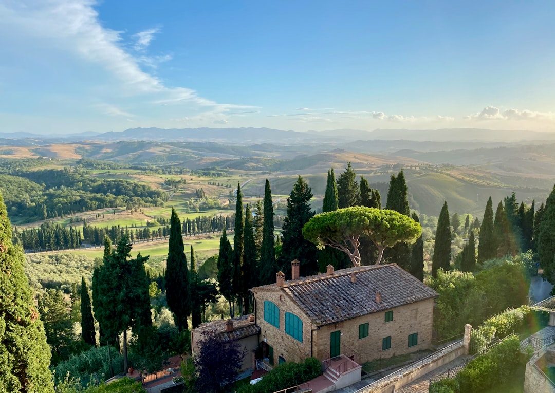 Under the Tuscan Sunshine: Discovering Italy's Tipsy Secret in Mont… — Under the Tuscan Sunshine