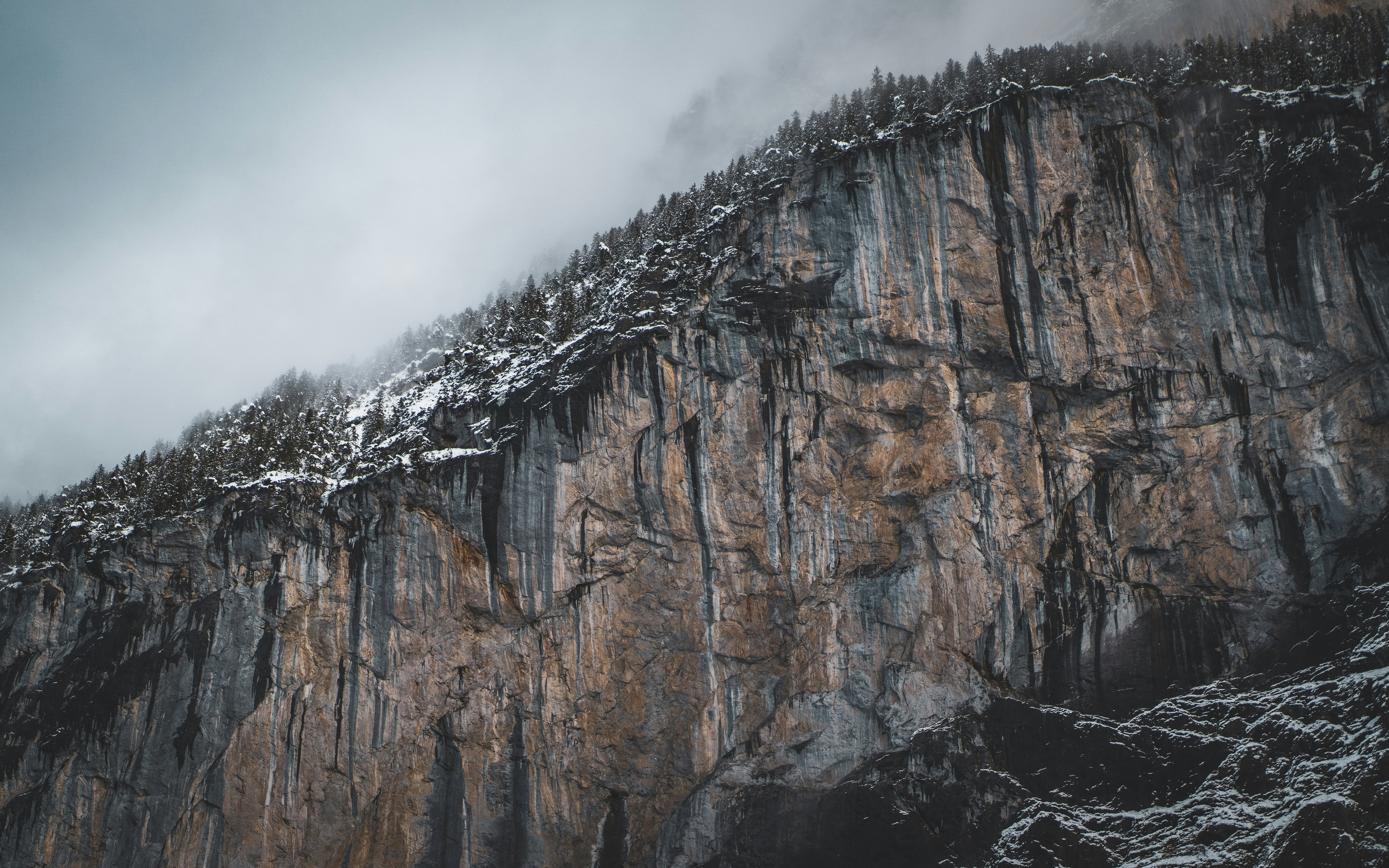 Photo by nicolas_krebs