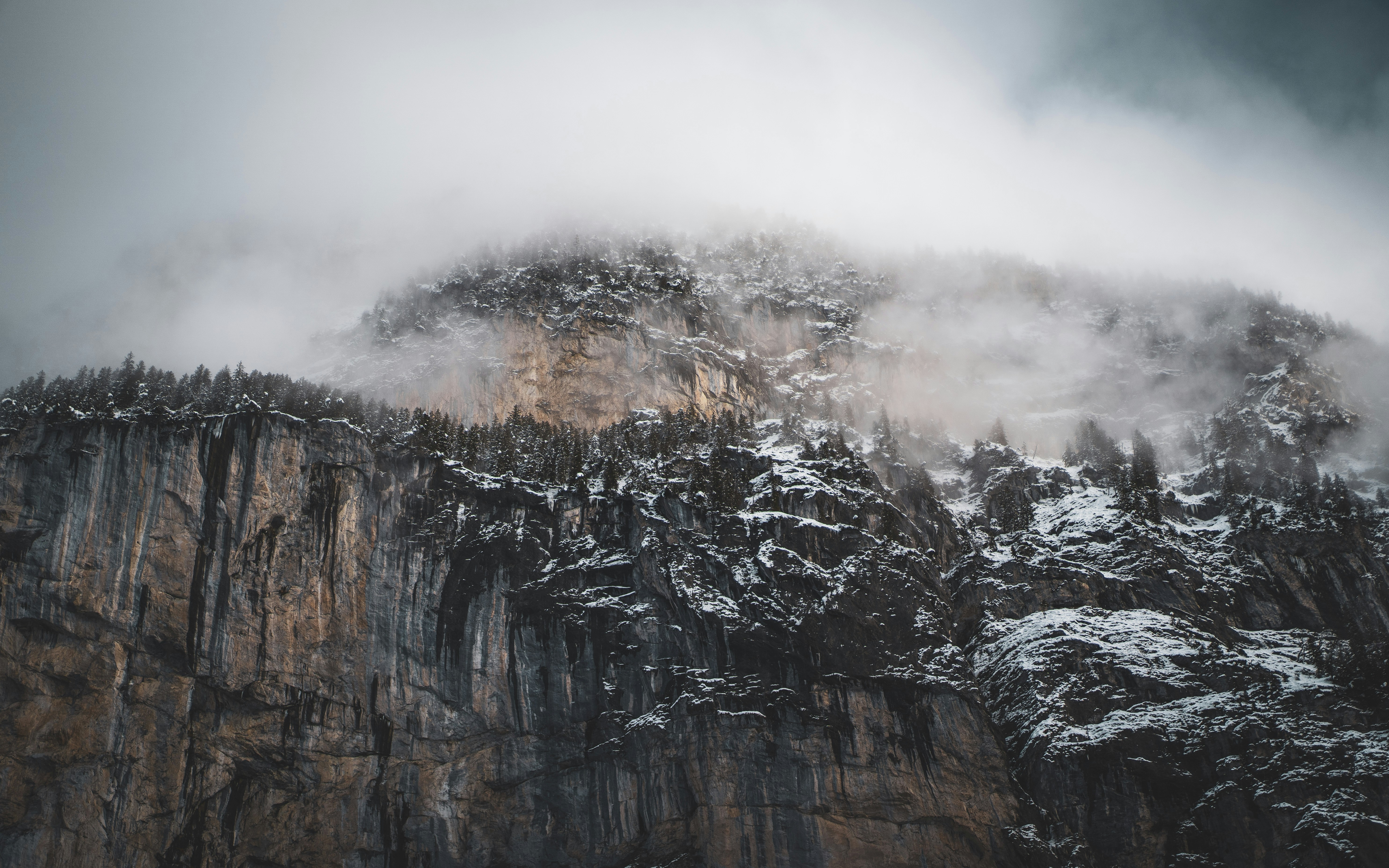 Photo by nicolas_krebs