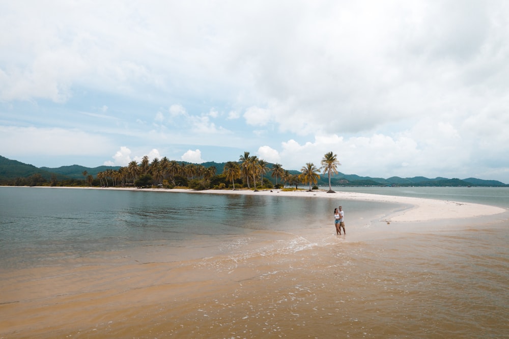 people walking on beach during daytime