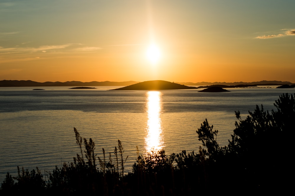 Silhouette von Bäumen in der Nähe von Gewässern bei Sonnenuntergang