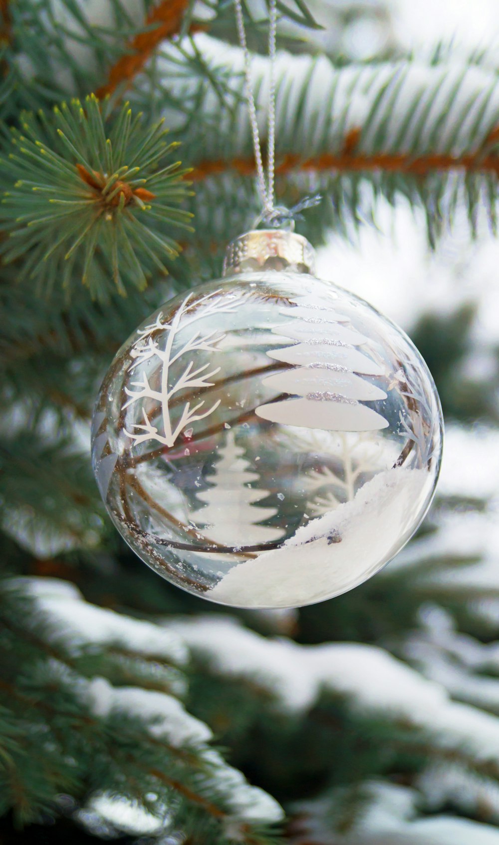 clear glass ball on green christmas tree