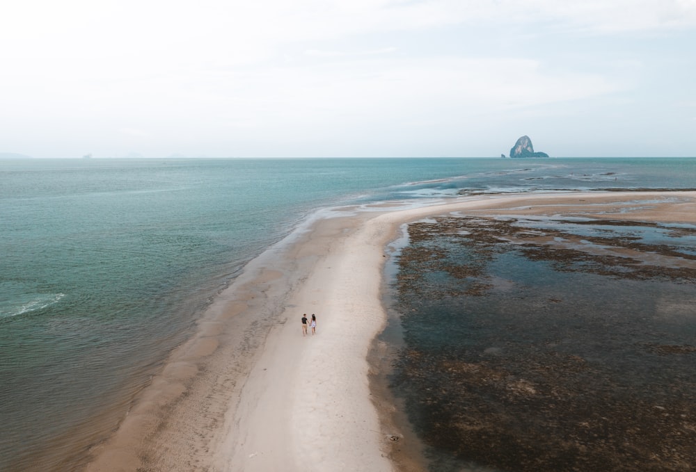 Gente en la playa durante el día