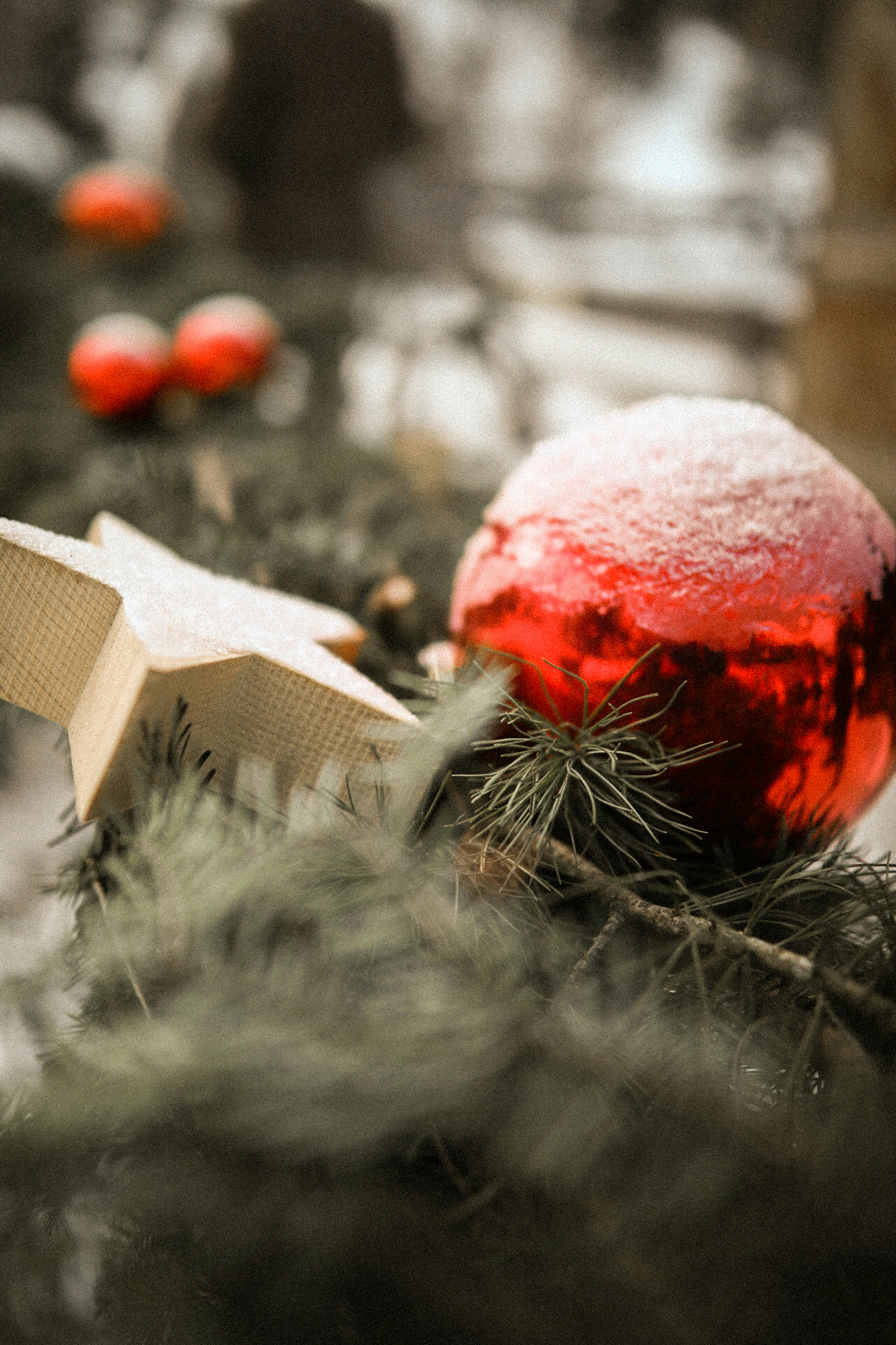 Photo by kajareichardtphotos