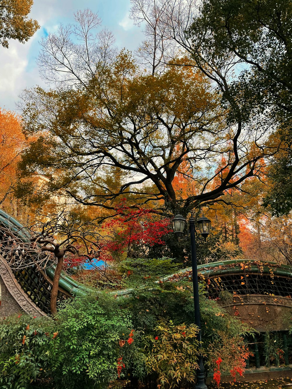 brown and green trees near brown wooden bridge