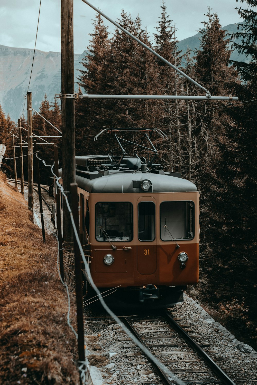 brown and black train on rail tracks