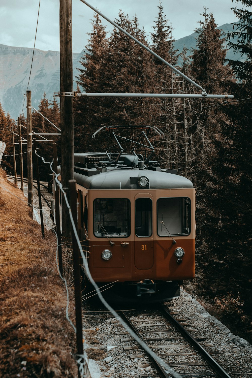 trem marrom e preto nos trilhos ferroviários