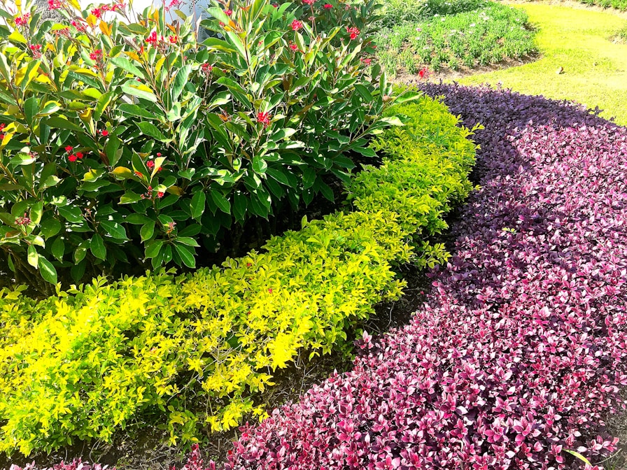 Stunning landscaping project showcasing beautiful flowers and well-maintained hedges on a well-designed website.
