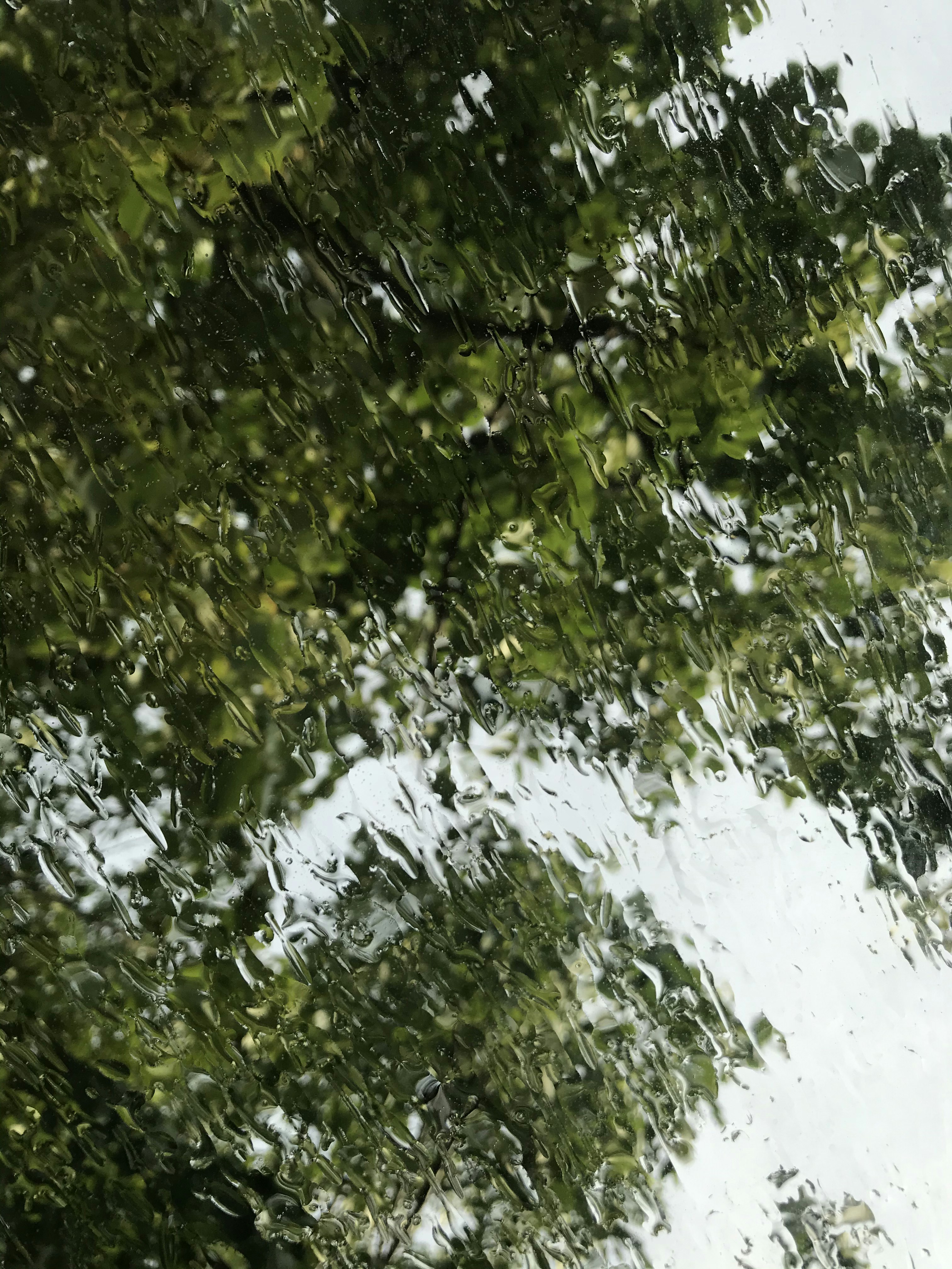 Photo by botondtakacs