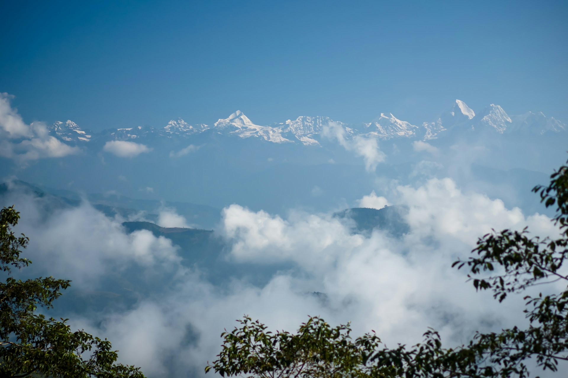 green trees under white clouds and blue sky during daytime