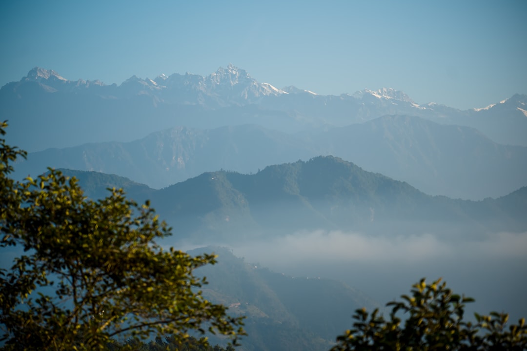 green trees and mountains during daytime