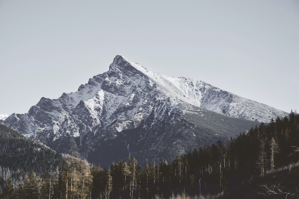 snow covered mountain during daytime