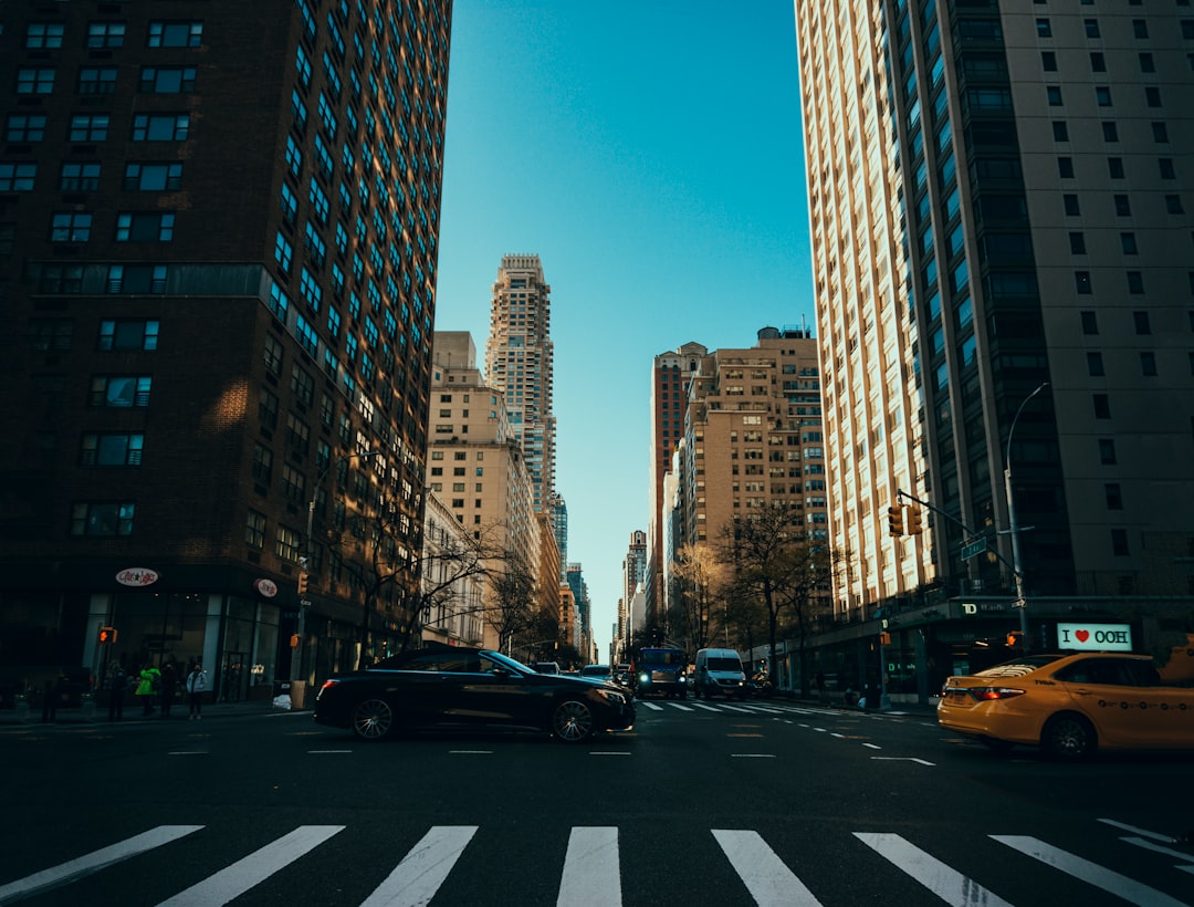 cars on road near high rise buildings during daytime