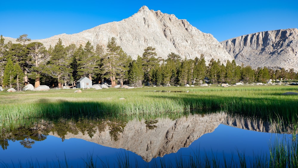 white and brown house near green trees and lake during daytime