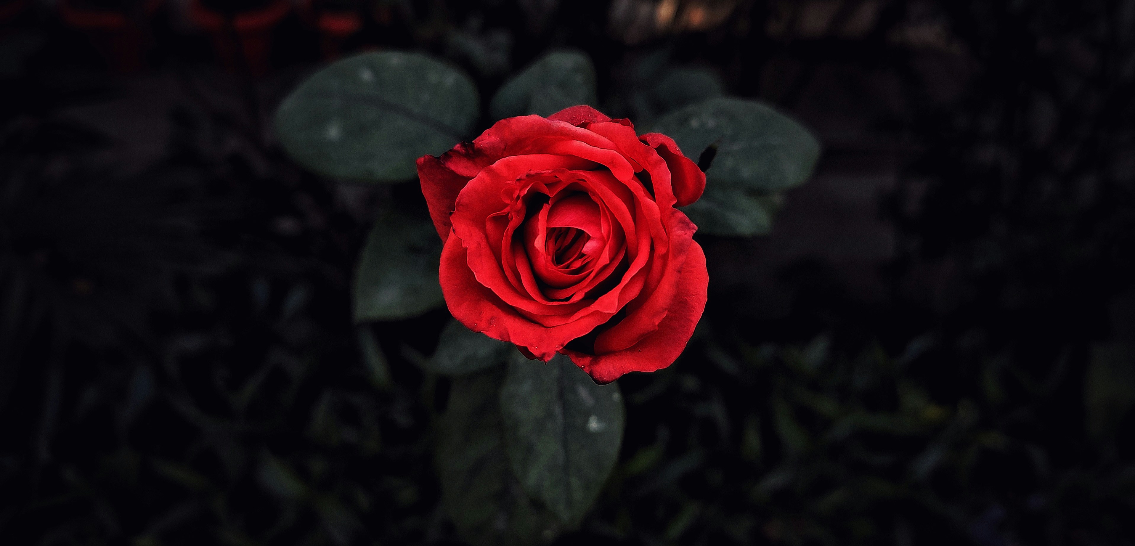 Photo by gagangulyani
